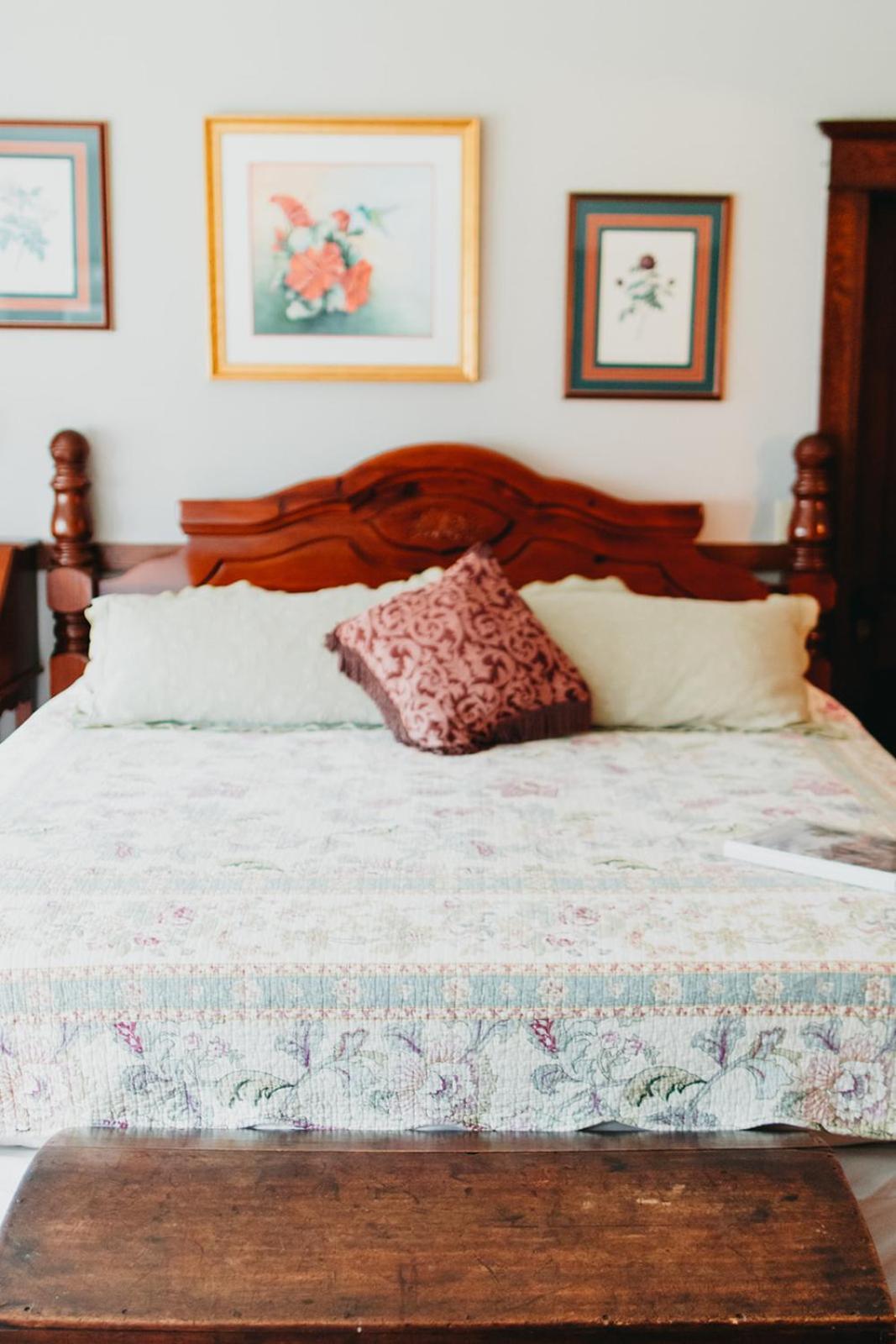 Friendly City Inn B&B Harrisonburg Extérieur photo